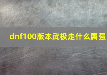 dnf100版本武极走什么属强