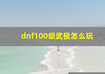 dnf100级武极怎么玩