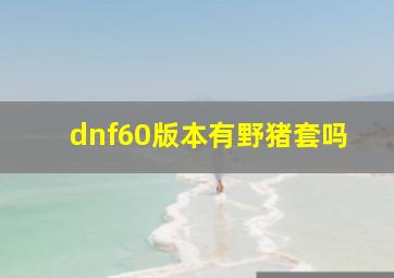 dnf60版本有野猪套吗