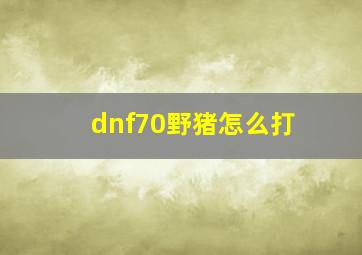 dnf70野猪怎么打