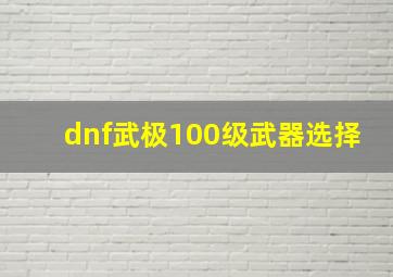 dnf武极100级武器选择