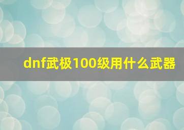 dnf武极100级用什么武器