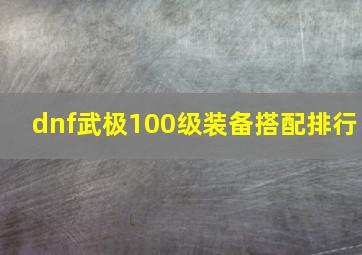 dnf武极100级装备搭配排行