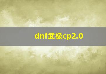 dnf武极cp2.0