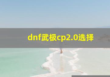 dnf武极cp2.0选择