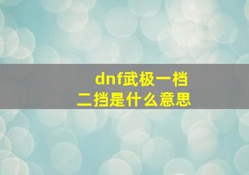 dnf武极一档二挡是什么意思