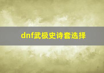 dnf武极史诗套选择