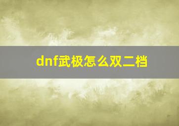 dnf武极怎么双二档