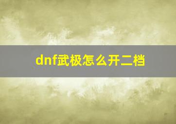 dnf武极怎么开二档