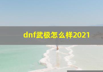 dnf武极怎么样2021