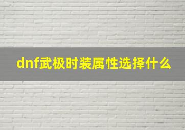 dnf武极时装属性选择什么