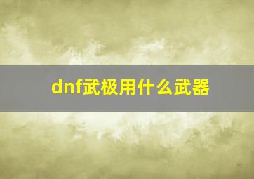 dnf武极用什么武器