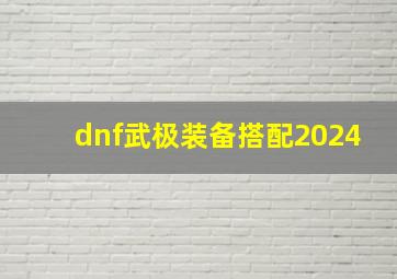 dnf武极装备搭配2024