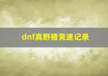 dnf真野猪竞速记录