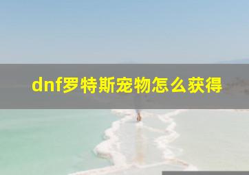 dnf罗特斯宠物怎么获得