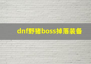 dnf野猪boss掉落装备