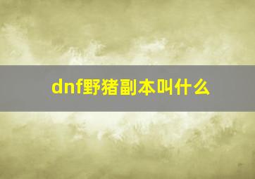 dnf野猪副本叫什么