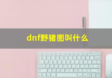 dnf野猪图叫什么