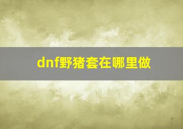 dnf野猪套在哪里做