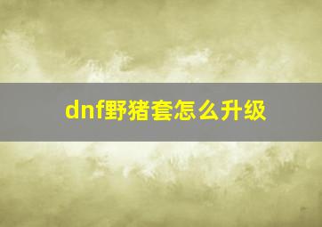 dnf野猪套怎么升级