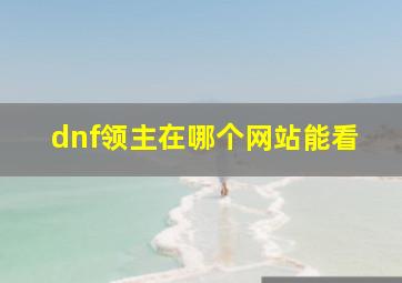 dnf领主在哪个网站能看