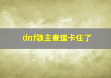 dnf领主查理卡住了