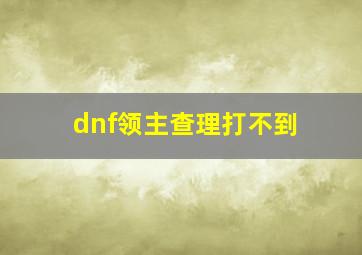 dnf领主查理打不到