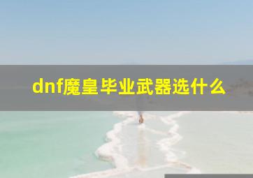 dnf魔皇毕业武器选什么