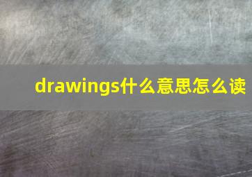 drawings什么意思怎么读