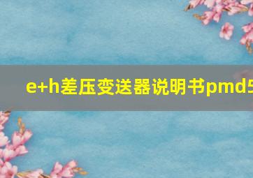 e+h差压变送器说明书pmd55