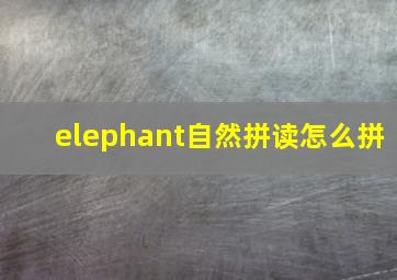 elephant自然拼读怎么拼