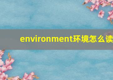 environment环境怎么读