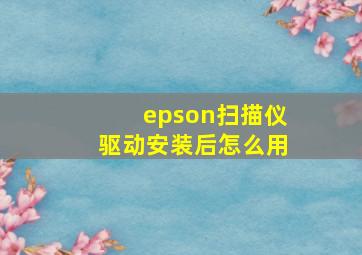 epson扫描仪驱动安装后怎么用