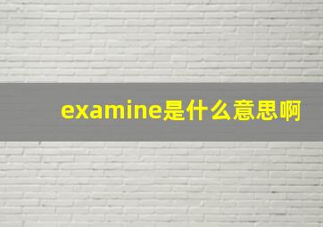 examine是什么意思啊