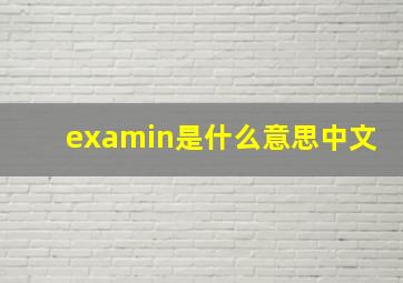 examin是什么意思中文