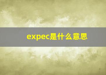 expec是什么意思