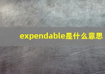 expendable是什么意思