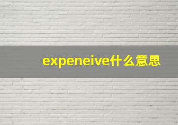 expeneive什么意思