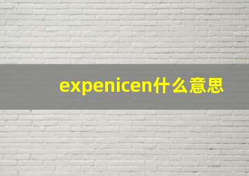 expenicen什么意思