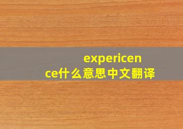 expericence什么意思中文翻译