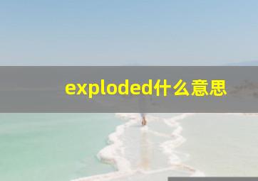 exploded什么意思