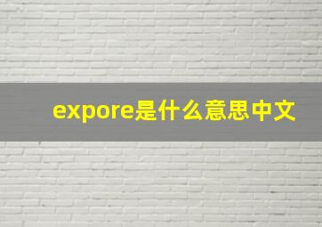 expore是什么意思中文