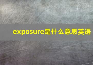 exposure是什么意思英语