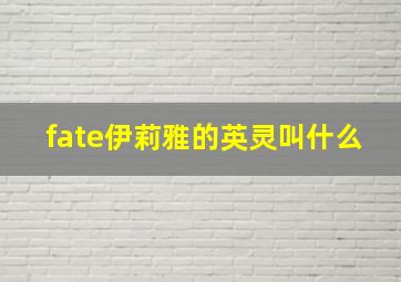 fate伊莉雅的英灵叫什么