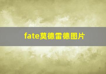 fate莫德雷德图片