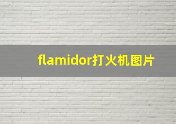 flamidor打火机图片