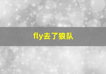 fly去了狼队