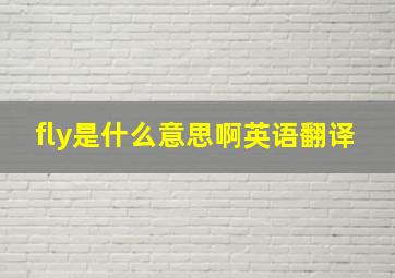 fly是什么意思啊英语翻译