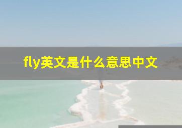 fly英文是什么意思中文