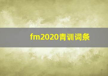 fm2020青训词条